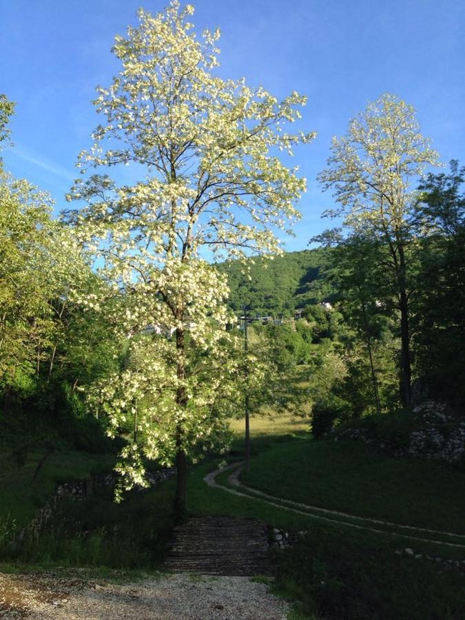 Agriturismo Fattoria Togonegro Villa Marostica Exterior foto