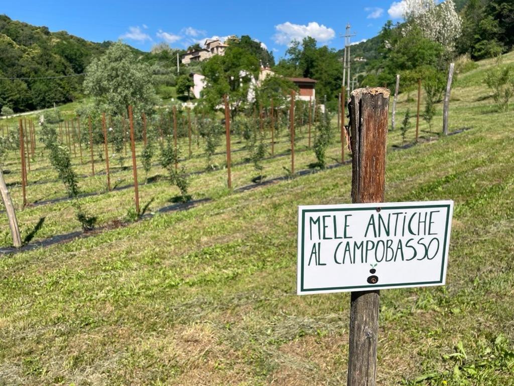 Agriturismo Fattoria Togonegro Villa Marostica Exterior foto